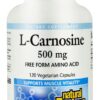 Comprar natural factors l-carnosine -- 500 mg - 120 vegetarian capsules preço no brasil calcium calcium & vitamin d minerals suplementos em oferta vitamins & supplements suplemento importado loja 3 online promoção -
