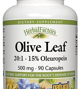 Natural Factors Olive Leaf Extract -- 500 mg - 90 Capsules