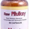 Comprar natural sources raw pituitary -- 50 capsules preço no brasil body systems, organs & glands nervous system suplementos em oferta vitamins & supplements suplemento importado loja 1 online promoção -