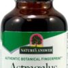 Comprar nature's answer astragalus alcohol free -- 2000 mg - 1 fl oz preço no brasil astragalus herbs & botanicals immune support suplementos em oferta suplemento importado loja 1 online promoção -