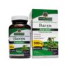 Comprar nature's answer bacopa -- 500 mg - 90 vegetarian capsules preço no brasil bacopa brain & memory herbs & botanicals suplementos em oferta suplemento importado loja 1 online promoção -