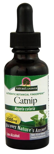 Extrato de Erva de Gato Nature's Answer 2000mg - 30ml