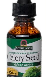 Comprar nature's answer celery seed -- 2000 mg - 1 fl oz preço no brasil cardiovascular celery seed heart & cardiovascular herbs & botanicals suplementos em oferta suplemento importado loja 15 online promoção -