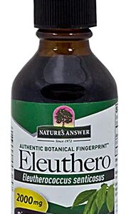 Nature's Answer Eleuthero Root -- 2 fl oz