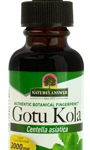 Comprar nature's answer gotu kola -- 2000 mg - 1 fl oz preço no brasil brain & memory gotu kola herbs & botanicals suplementos em oferta suplemento importado loja 5 online promoção -