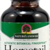 Comprar nature's answer horsetail -- 2000 mg - 1 fl oz preço no brasil antioxidants herbs & botanicals mastic gum suplementos em oferta suplemento importado loja 3 online promoção -