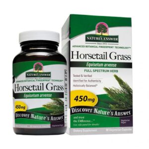 Comprar nature's answer horsetail grass -- 90 capsules preço no brasil borage herbs & botanicals nails, skin & hair suplementos em oferta suplemento importado loja 27 online promoção -