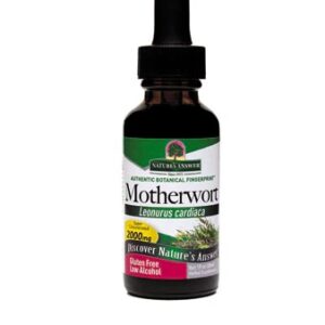 Nature's Answer Motherwort Herb -- 1 fl oz