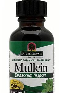 Comprar nature's answer mullein -- 2000 mg - 1 fl oz preço no brasil herbs & botanicals mullein respiratory health suplementos em oferta suplemento importado loja 43 online promoção -