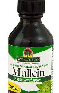 Comprar nature's answer mullein -- 2 fl oz preço no brasil herbs & botanicals mullein respiratory health suplementos em oferta suplemento importado loja 9 online promoção -