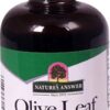 Comprar nature's answer olive leaf herbal supplement -- 2 fl oz preço no brasil probiotics saccharomyces boulardi suplementos em oferta vitamins & supplements suplemento importado loja 3 online promoção -