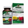 Comprar nature's answer red raspberry -- 950 - 90 vegetarian capsules preço no brasil herbs & botanicals raspberry suplementos em oferta women's health suplemento importado loja 1 online promoção -