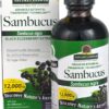 Comprar nature's answer sambucus black elder berry extract original -- 12000 mg - 4 fl oz preço no brasil herbs & botanicals immune support specialty formulas suplementos em oferta suplemento importado loja 1 online promoção -