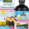 Comprar nature's answer sambucus kids formula -- 4000 mg - 8 fl oz preço no brasil elderberry herbs & botanicals immune support suplementos em oferta suplemento importado loja 1 online promoção -