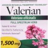 Comprar nature's answer valerian -- 1500 mg - 90 vegetarian capsules preço no brasil food & beverages packaged meals ready to eat meals suplementos em oferta suplemento importado loja 5 online promoção -