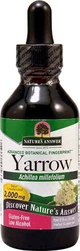 Nature's Answer Yarrow (Mil-folhas) Extrato Líquido 2000mg - 59ml (2 fl oz)