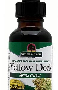 Comprar nature's answer yellowdock root alcohol free -- 1 fl oz preço no brasil borage herbs & botanicals nails, skin & hair suplementos em oferta suplemento importado loja 69 online promoção -