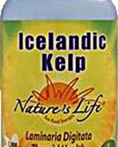 Comprar nature's life icelandic kelp -- 1000 tablets preço no brasil body systems, organs & glands herbs & botanicals kelp suplementos em oferta thyroid support suplemento importado loja 49 online promoção -