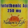Comprar nature's life pantothenic acid -- 250 mg - 100 tablets preço no brasil antioxidants broccoli herbs & botanicals suplementos em oferta suplemento importado loja 3 online promoção -