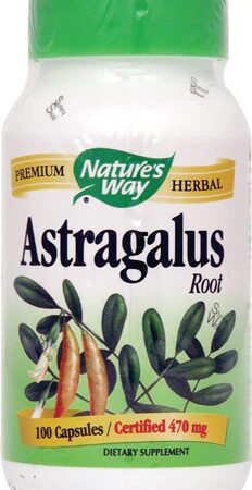 Comprar nature's way astragalus root -- 470 mg - 100 capsules preço no brasil astragalus herbs & botanicals immune support suplementos em oferta suplemento importado loja 185 online promoção -
