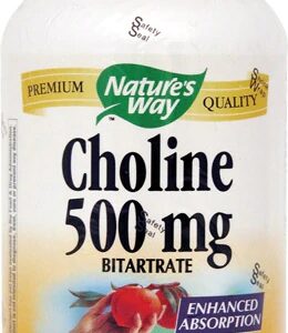 Comprar nature's way choline -- 500 mg - 100 vegan tablets preço no brasil choline diet & weight suplementos em oferta vitamins & supplements suplemento importado loja 19 online promoção -