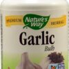 Comprar nature's way garlic bulb -- 580 mg - 100 vegetarian capsules preço no brasil garlic herbs & botanicals just garlic suplementos em oferta suplemento importado loja 1 online promoção -