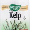 Comprar nature's way kelp -- 600 mg - 100 vegetarian capsules preço no brasil body systems, organs & glands herbs & botanicals kelp suplementos em oferta thyroid support suplemento importado loja 1 online promoção -
