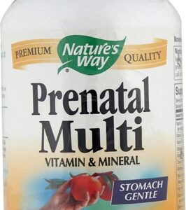 Comprar nature's way prenatal multi -- 180 capsules preço no brasil multivitamins prenatal multivitamins suplementos em oferta vitamins & supplements suplemento importado loja 71 online promoção -