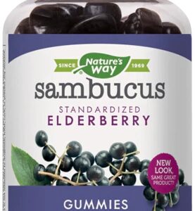 Nature's Way Sambucus Gummies -- 60 Gummies
