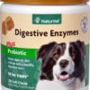 Comprar naturvet digestive enzymes plus probiotic soft chews for dogs -- 120 soft chews preço no brasil dog dog digestion health care pet health suplementos em oferta suplemento importado loja 1 online promoção -