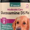Comprar naturvet glucosamine ds™ plus stage 2 for dogs -- 120 chewable tablets preço no brasil dog dog hip & joint pet health suplementos em oferta supplements suplemento importado loja 1 online promoção -