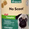Comprar naturvet no scoot® plus pumpkin soft chews for dogs -- 120 soft chews preço no brasil dog pet health suplementos em oferta supplements suplemento importado loja 1 online promoção -