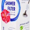 Comprar new wave enviro premium shower filter gloss white finish -- 1 filter preço no brasil almonds food & beverages nuts suplementos em oferta suplemento importado loja 3 online promoção -