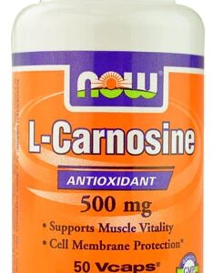 Comprar now foods l-carnosine -- 500 mg - 50 vcaps® preço no brasil protein blends protein powders sports & fitness suplementos em oferta suplemento importado loja 3 online promoção -