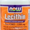 Comprar now foods lecithin -- 1200 mg - 100 softgels preço no brasil choline diet & weight suplementos em oferta vitamins & supplements suplemento importado loja 3 online promoção -