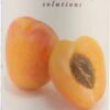 Comprar now foods solutions apricot oil -- 16 fl oz preço no brasil beta carotene letter vitamins suplementos em oferta vitamin a vitamins & supplements suplemento importado loja 5 online promoção -