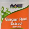 Comprar now ginger root extract -- 250 mg - 90 veg capsules preço no brasil glucosamine, chondroitin & msm msm suplementos em oferta vitamins & supplements suplemento importado loja 5 online promoção -