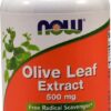 Comprar now olive leaf extract -- 500 mg - 120 veg capsules preço no brasil herbs & botanicals immune support olive leaf extract suplementos em oferta suplemento importado loja 1 online promoção -