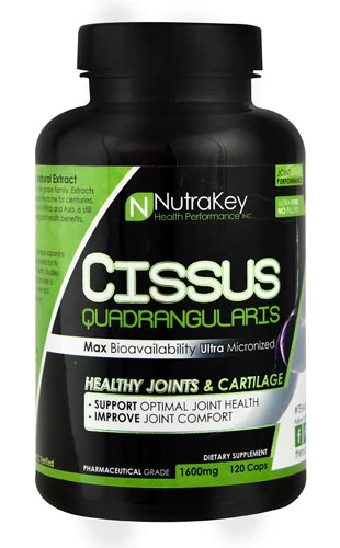 NutraKey Cissus Quadrangularis -- 120 Capsules