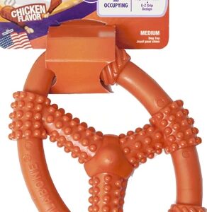 Comprar nylabone moderate chew flexible oval ring, medium chicken -- 1 toy preço no brasil chew toys dog pet health suplementos em oferta toys suplemento importado loja 15 online promoção -