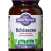 Comprar oregon's wild harvest echinacea -- 90 gelatin capsules preço no brasil echinacea herbs & botanicals suplementos em oferta suplemento importado loja 1 online promoção -