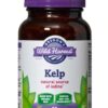 Comprar oregon's wild harvest kelp -- 90 gelatin capsules preço no brasil respiratory & lung support respiratory health suplementos em oferta vitamins & supplements suplemento importado loja 5 online promoção -