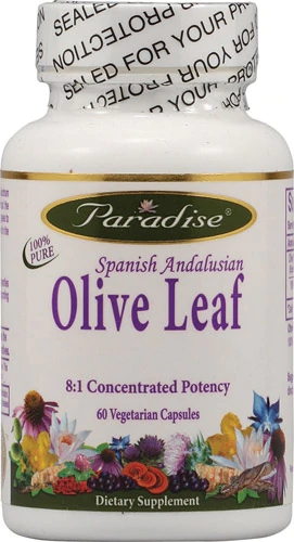Paradise Herbs Extrato de Folha de Oliveira - 60 Cápsulas Vegetarianas - Saúde Imunológica