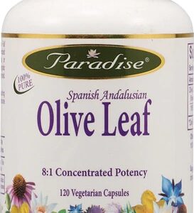 Paradise Herbs Extrato de Folha de Oliveira 120 Cápsulas Vegetarianas - Suporte Imunológico e Bem-Estar