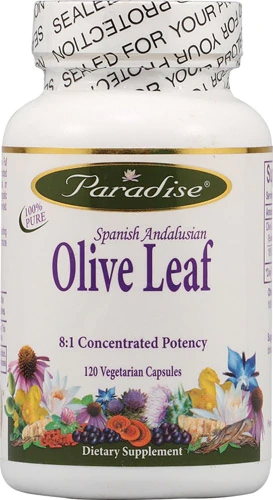 Paradise Herbs Extrato de Folha de Oliveira 120 Cápsulas Vegetarianas - Suporte Imunológico e Bem-Estar