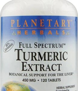 Comprar planetary herbals full spectrum™ turmeric extract -- 450 mg - 120 tablets preço no brasil herbs & botanicals joint health suplementos em oferta turmeric suplemento importado loja 3 online promoção -