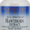 Comprar planetary herbals hawthorn extract -- 60 tablets preço no brasil cholesterol hawthorn heart & cardiovascular herbs & botanicals suplementos em oferta suplemento importado loja 1 online promoção -