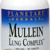 Comprar planetary herbals mullein lung complex™ -- 850 mg - 90 tablets preço no brasil bars food & beverages nut & seed bars suplementos em oferta suplemento importado loja 3 online promoção -