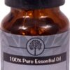 Comprar plantlife 100% pure essential oil star anise -- 0. 33 fl oz preço no brasil collagen peptides suplementos em oferta vitamins & supplements suplemento importado loja 5 online promoção -