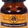 Comprar plantlife 100% pure essential oil turmeric -- 0. 33 fl oz preço no brasil professional lines protein sports & fitness suplementos em oferta suplemento importado loja 3 online promoção -